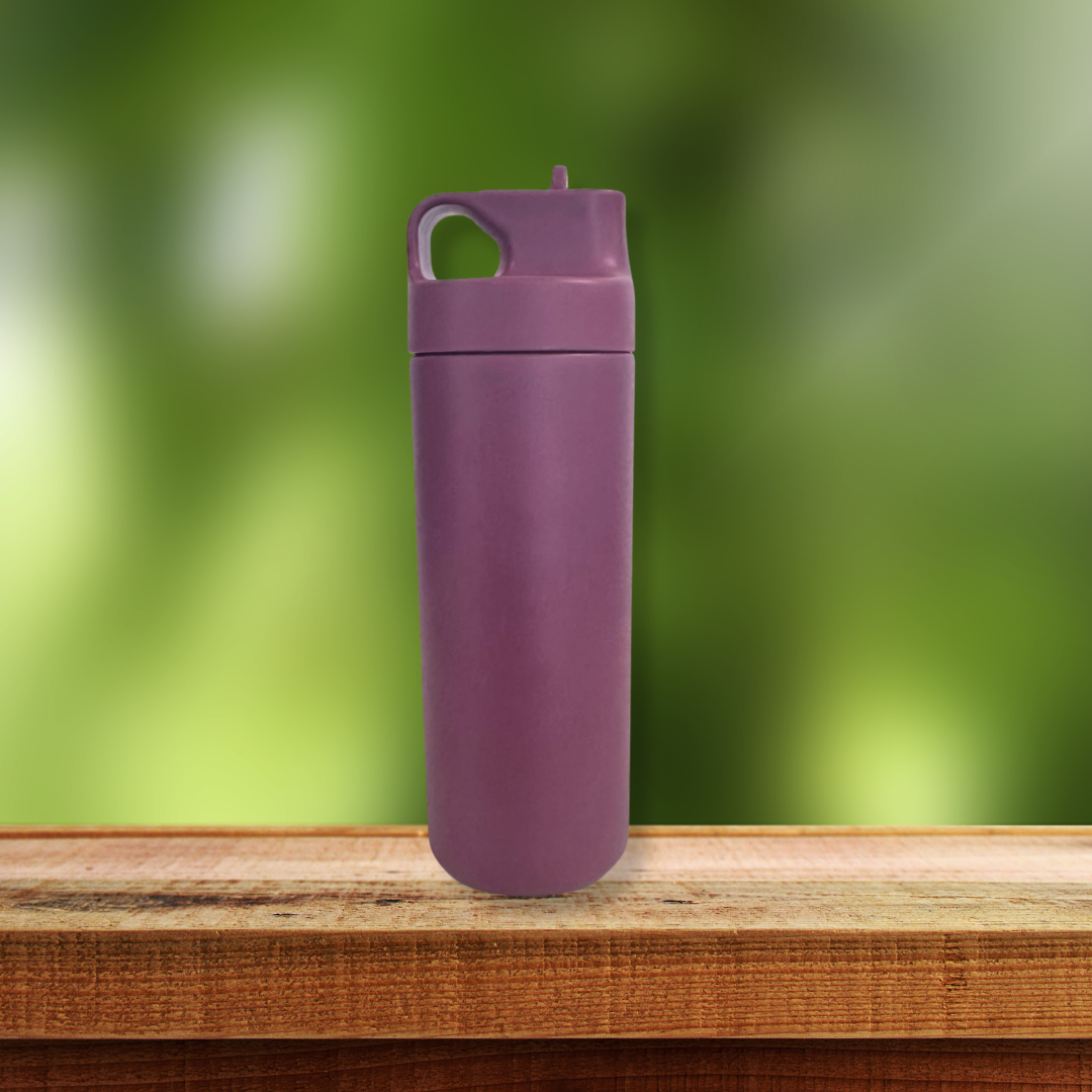 Twin Wall Vacuum Insulated Bottle with Lid and Straw (500ml)