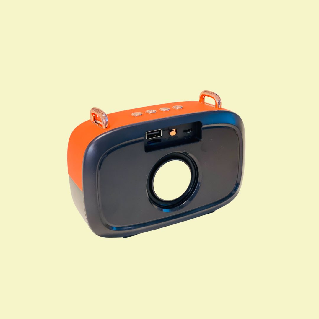 Mini wireless radio and Bluetooth speaker