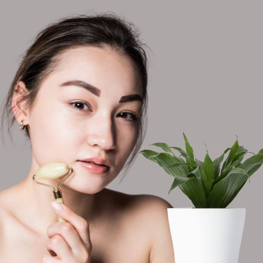 Jade Face Roller