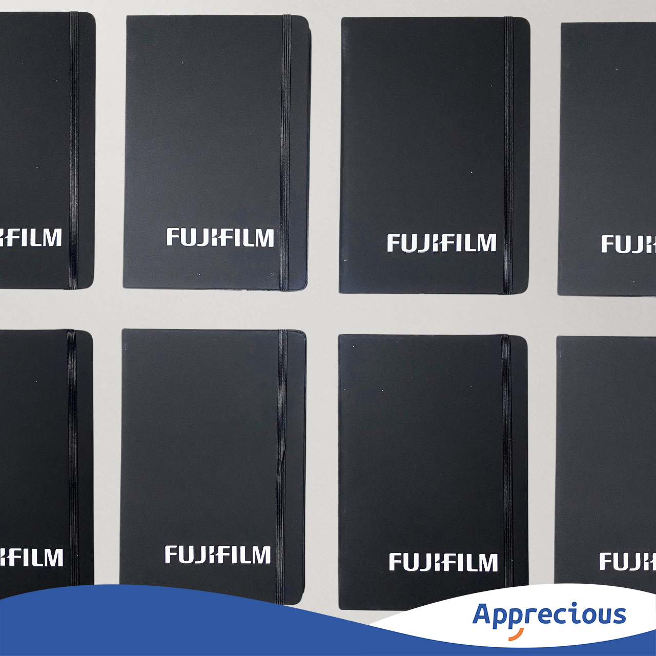 FUJI7.png