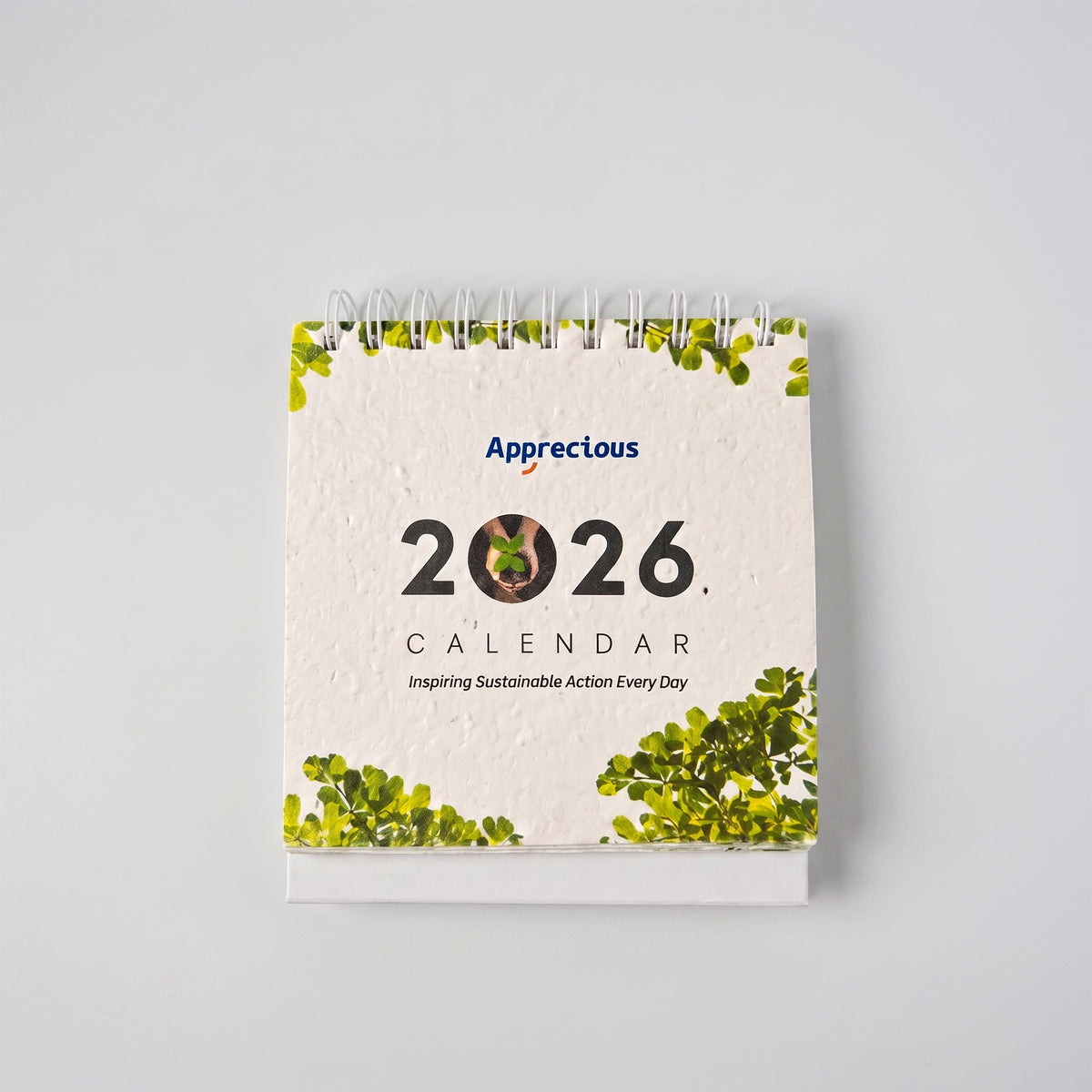 Plantable Seed Paper Work Desk Gift Set