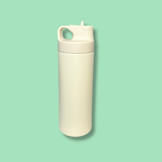 Twin Wall Vacuum Insulated Bottle with Lid and Straw (500ml)