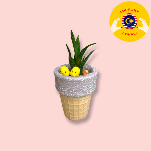 Succulent Plant in Ice Cream Cone