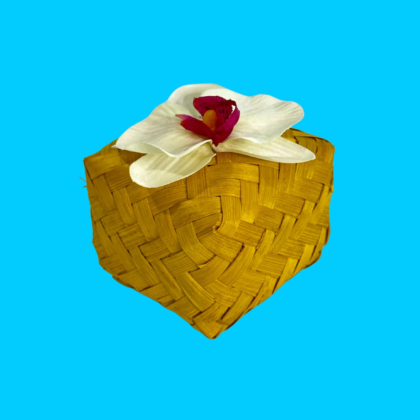 Mengkuang Door Gift