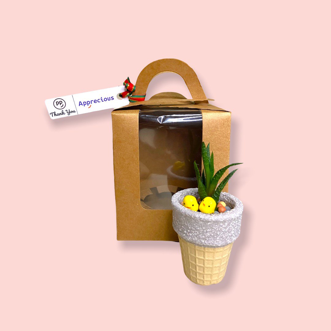 Succulent Plant in Ice Cream Cone